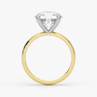 Side View – Round Cut Diamond Ring in 18K Two-Tone Gold